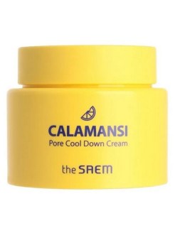 The Saem Охлаждающий крем для сужения пор The Saem Calamansi Pore Cool Down Cream,100 мл T7DCUobnhmhAhgW4PlfED1 - фото 17314