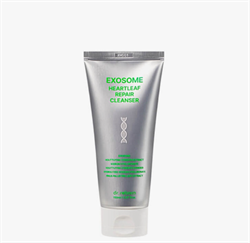 DR.REBORN Очищающий гель с экзосомами для лица мини EXOSOME HEARTLEAF REPAIR CLEANSER, 50 мл 3M2KBYUgi3lRMVv5IpmsJ3