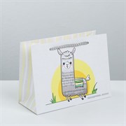 Пакет "Веселье" 19,5*14,5*8,5 WVPIZw6IhHaqI4u7NwKyD2