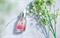 REVE L'ODEUR Сыворотка для лица антивозрастная ЭКСТРАКТ КЛЮКВЫ Cranberry Ampoule, 30 мл - фото 11834