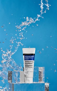 Derma Factory Увлажняющий крем-гель для лица со скваланом и березовым соком Aquaporin Hydrating Cream, 70 гр. - фото 12096