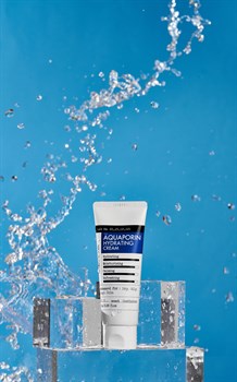 Derma Factory Увлажняющий крем-гель для лица со скваланом и березовым соком Aquaporin Hydrating Cream, 70 гр 8MZnvEAngiQ9s5NiVnuBm3 - фото 15685