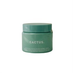 So Natural Освежающий крем-сорбет Cactus Water Sherbet Cream, 80мл. SpOLtFHTjgKaBcfNFxIEX0 - фото 17581