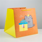 Пакет  «Котик и тортик», 30 × 30 × 30 см