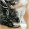LADOR Бессульфатный шампунь с кератином Lador Keratin LPP Shampoo, 150 мл gCKgWPsyjJw5np7ahQoA-3 - фото 20504 LADOR Бессульфатный шампунь с кератином Lador Keratin LPP Shampoo, 150 мл gCKgWPsyjJw5np7ahQoA-3 - фото 20504